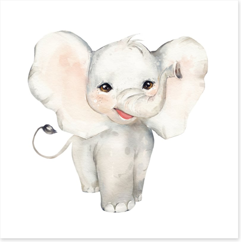 Elephant smiles