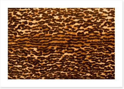 Animal Print