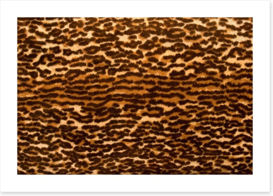 Animal Print