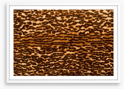 Animal Print