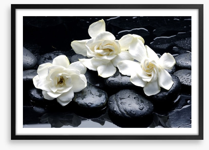 Gardenia flowers and pebbles