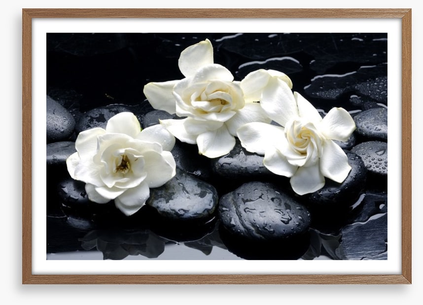 Gardenia flowers and pebbles