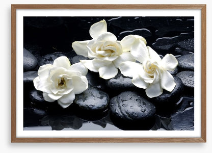 Gardenia flowers and pebbles
