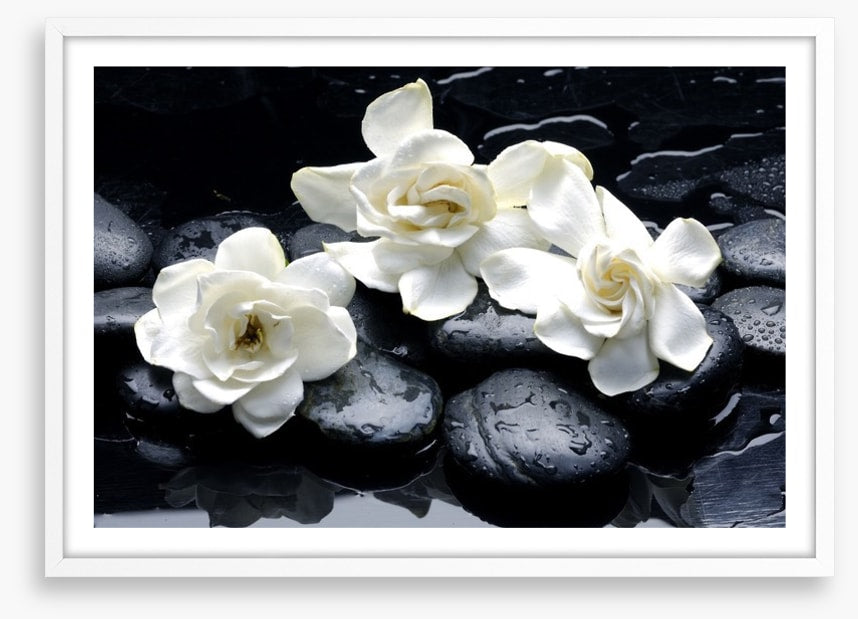 Gardenia flowers and pebbles