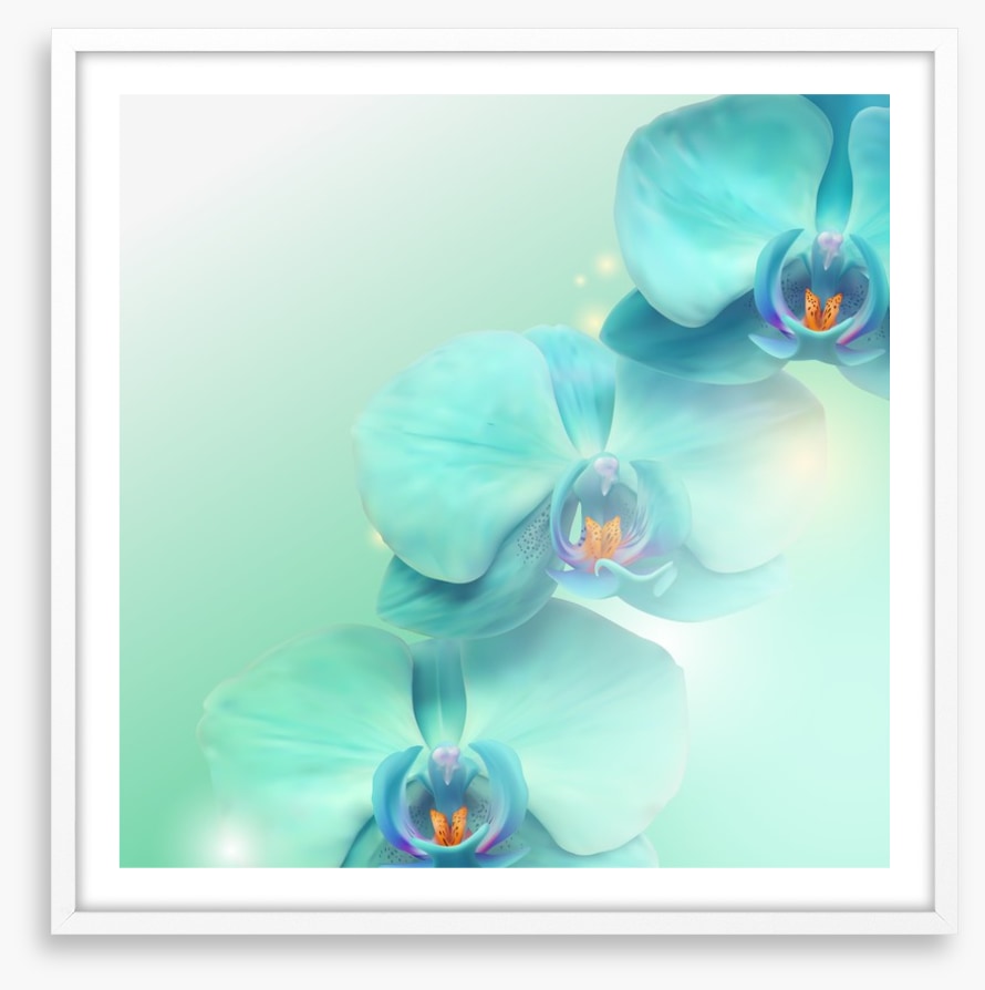 Orchid enlightenment