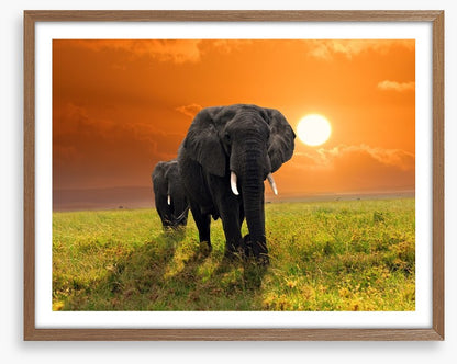 Serengeti steps