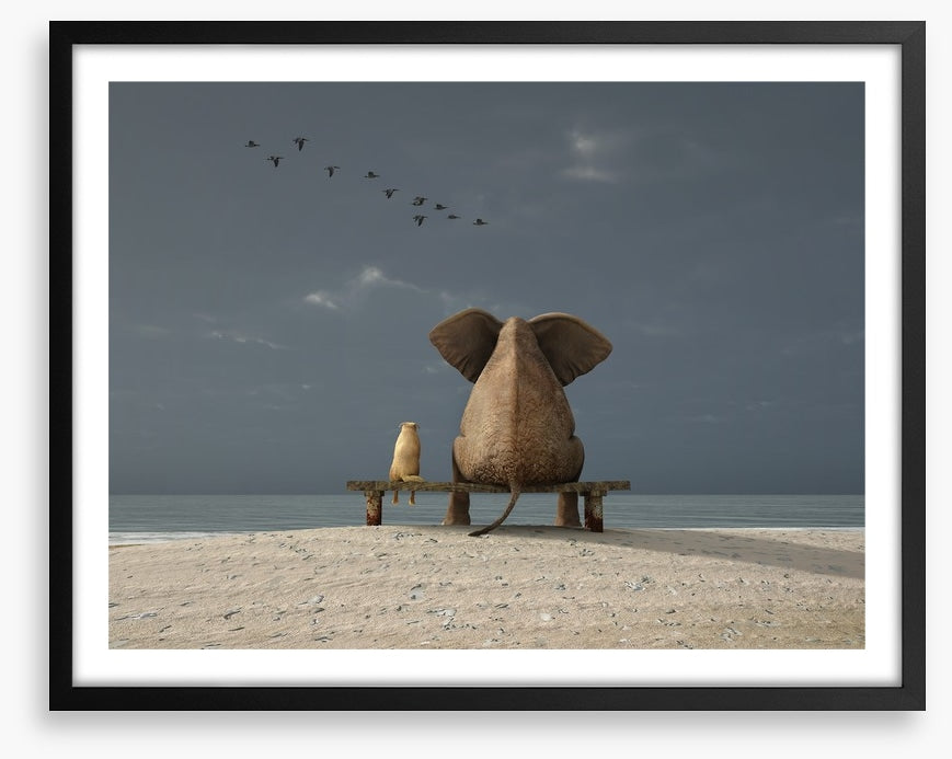 Together on the beach