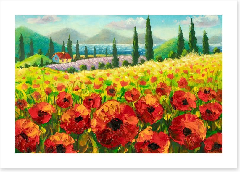 Beyond the poppies