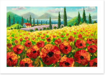 Beyond the poppies