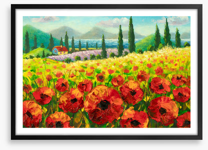 Beyond the poppies