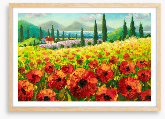 Beyond the poppies