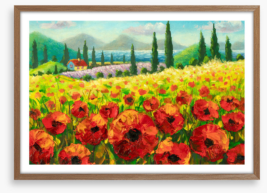 Beyond the poppies