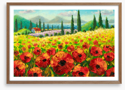 Beyond the poppies