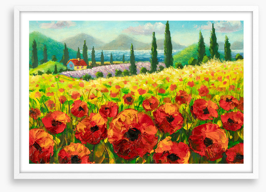 Beyond the poppies