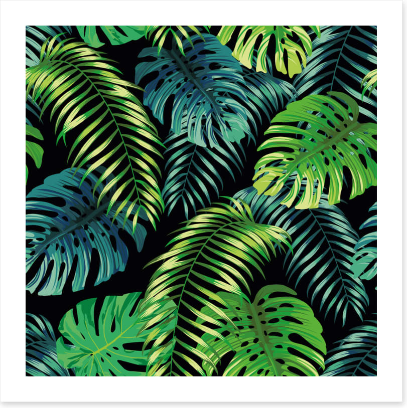 Fern a friend
