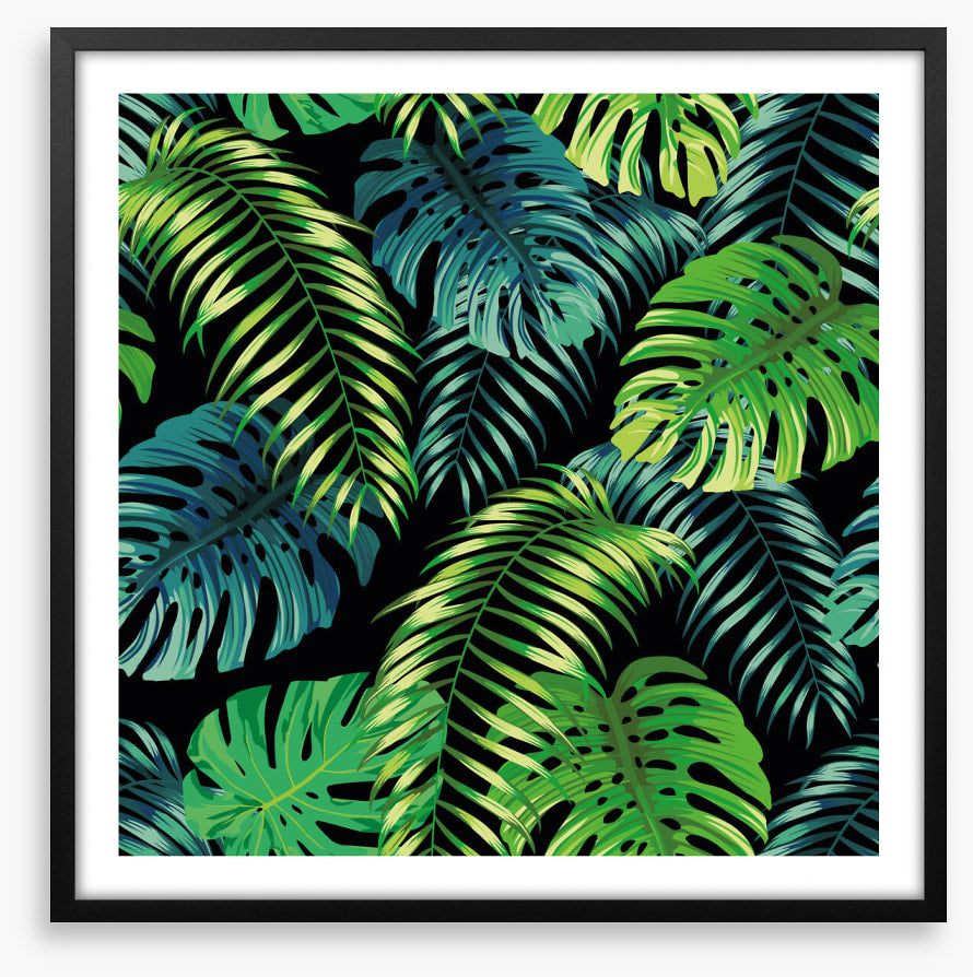 Fern a friend