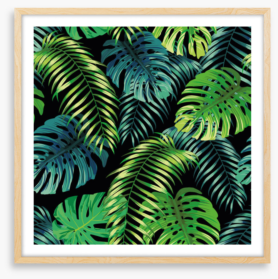 Fern a friend
