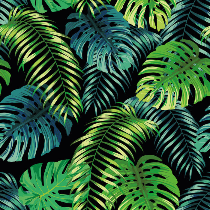 Fern a friend