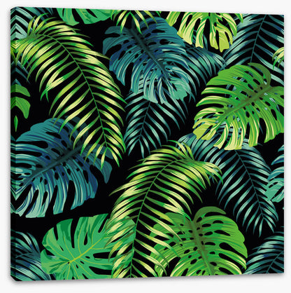 Fern a friend