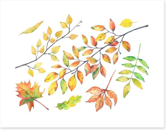 Autumn