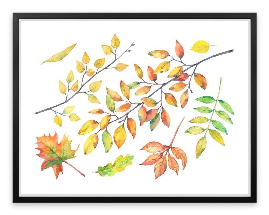 Autumn