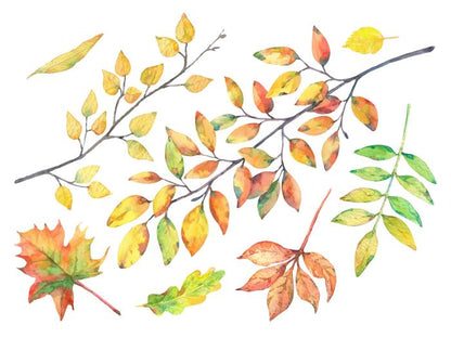 Autumn