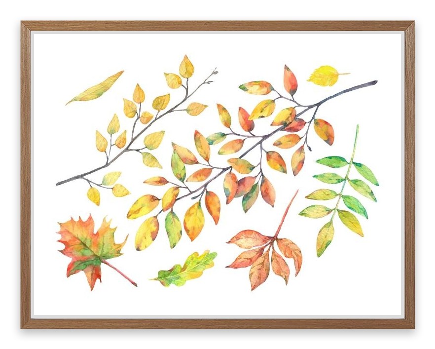 Autumn