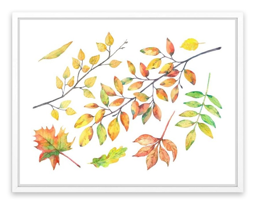 Autumn