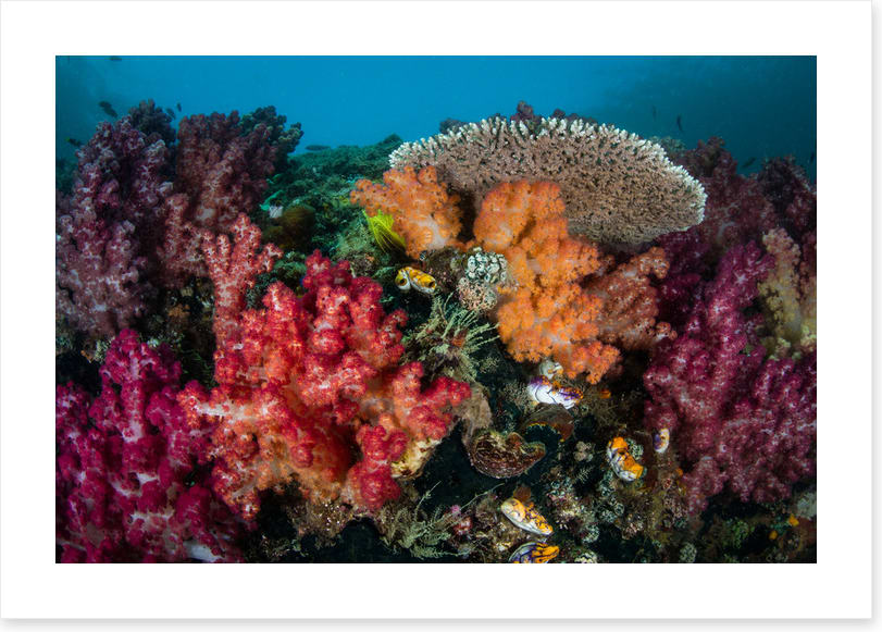 Underwater