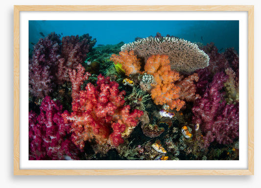Underwater