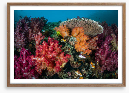 Underwater