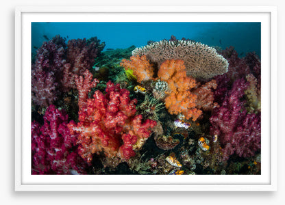 Underwater