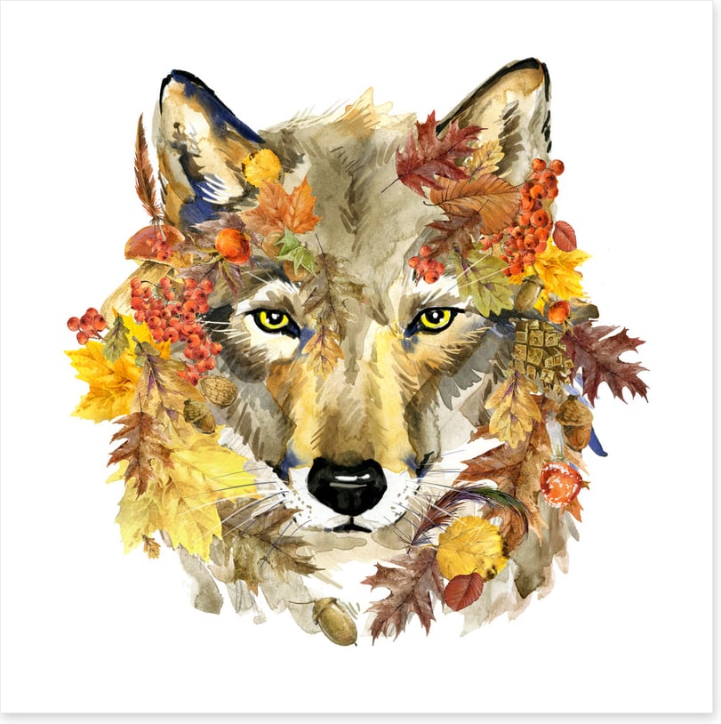Autumn wolf