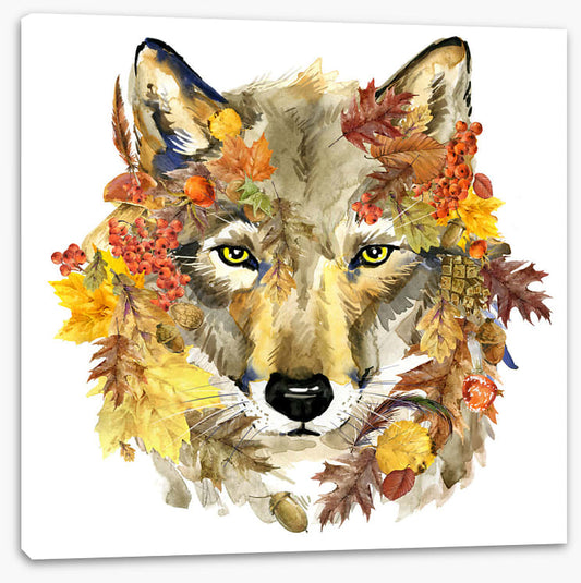 Autumn wolf
