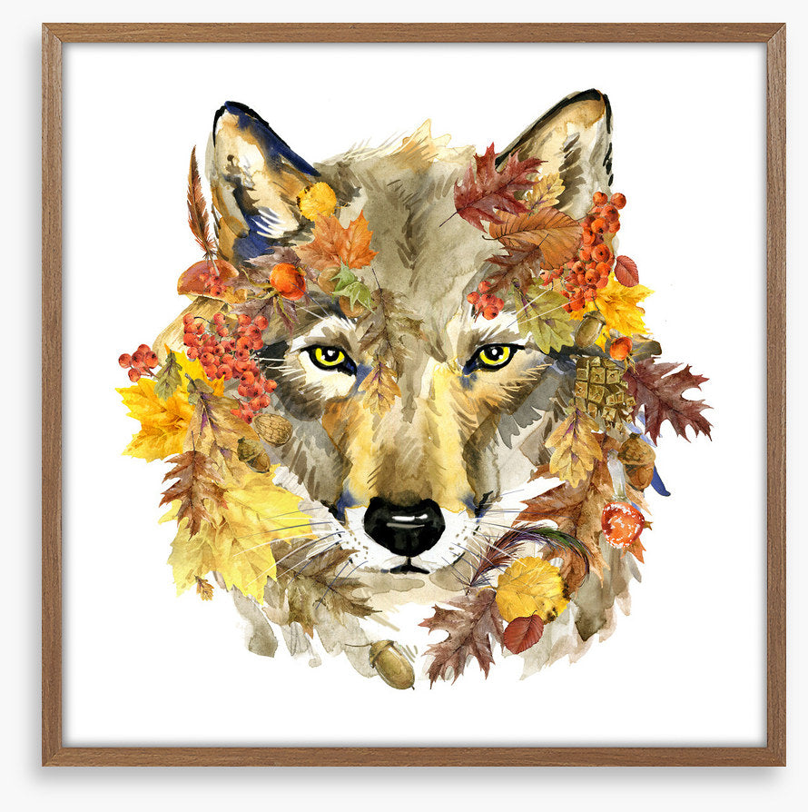 Autumn wolf