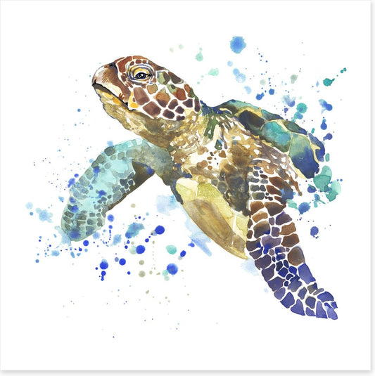 Turtle tidings