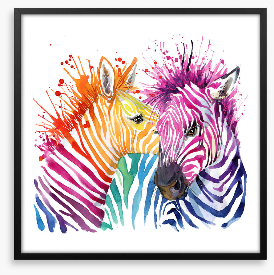 Zebra splash