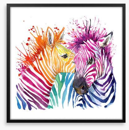 Zebra splash