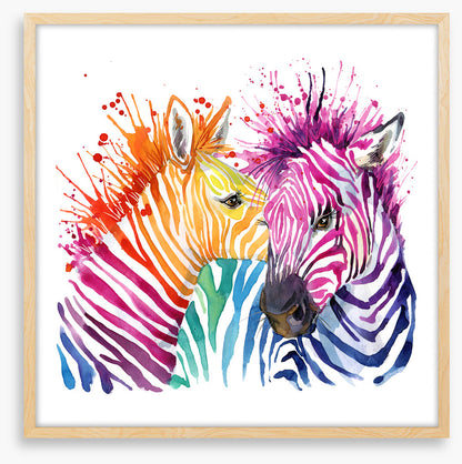 Zebra splash