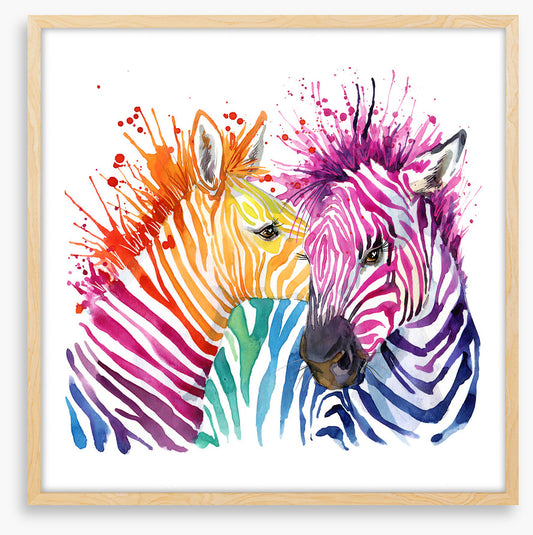 Zebra splash