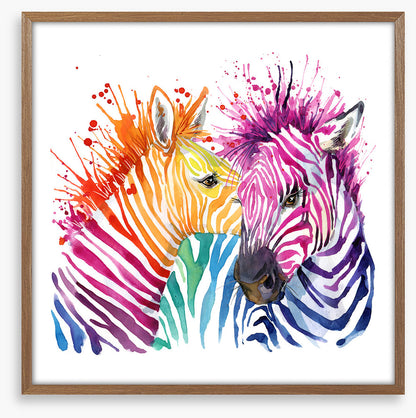 Zebra splash