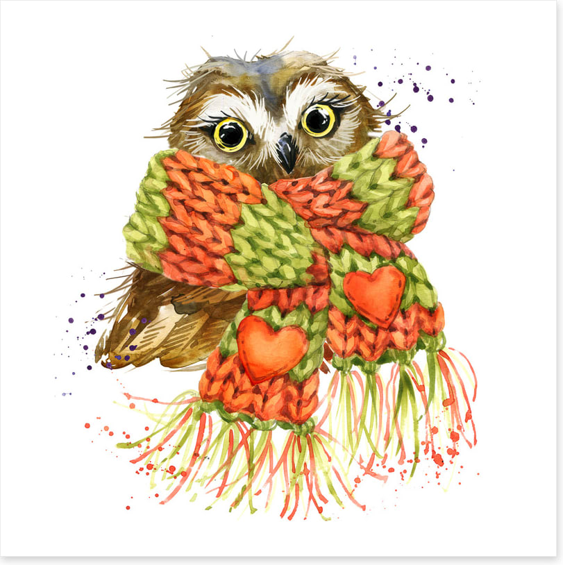 Cosy winter owl