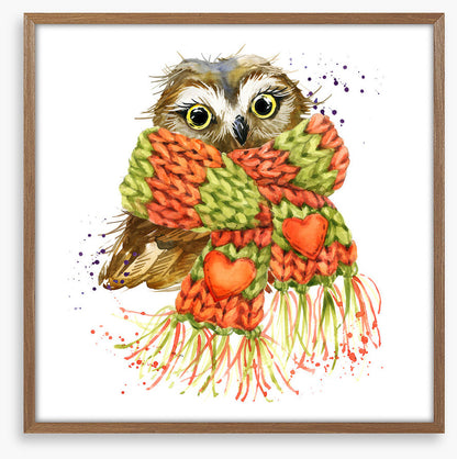 Cosy winter owl