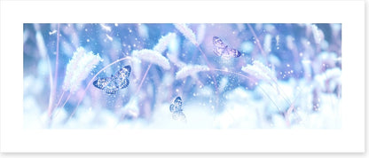Butterfly snow panorama