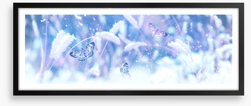 Butterfly snow panorama