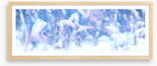 Butterfly snow panorama