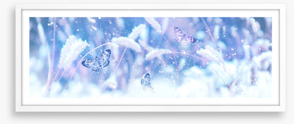 Butterfly snow panorama