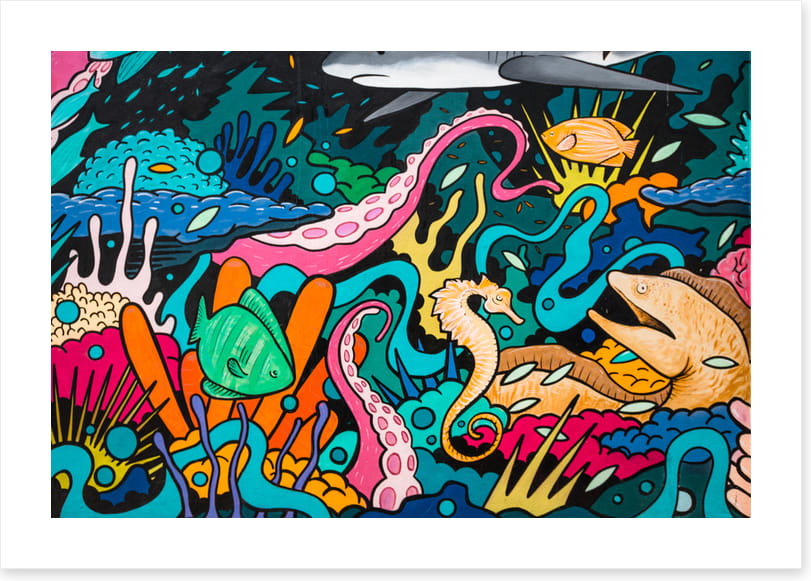 Urban ocean