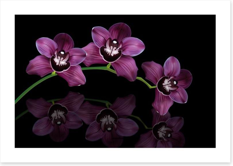 Purple orchid arc
