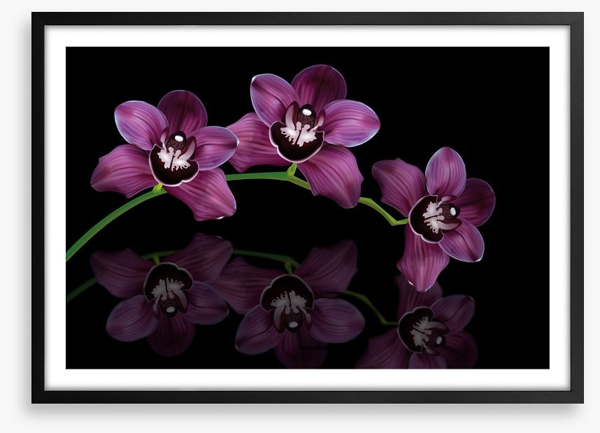 Purple orchid arc